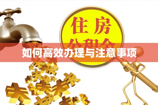 榕城如何高效办理与注意事项