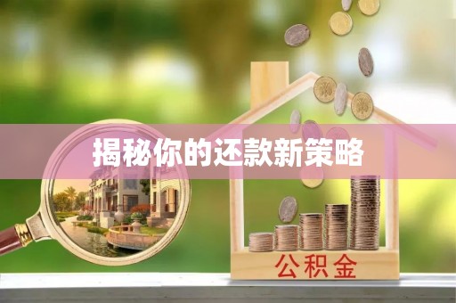 榕城揭秘你的还款新策略