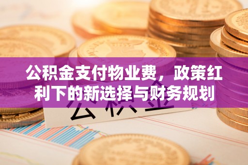 榕城公积金支付物业费，政策红利下的新选择与财务规划