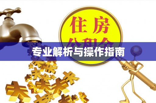 榕城专业解析与操作指南