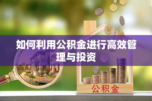 榕城如何利用公积金进行高效管理与投资