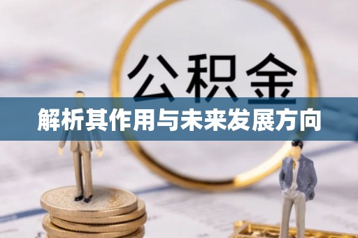 榕城解析其作用与未来发展方向