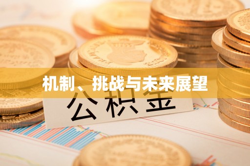 榕城机制、挑战与未来展望